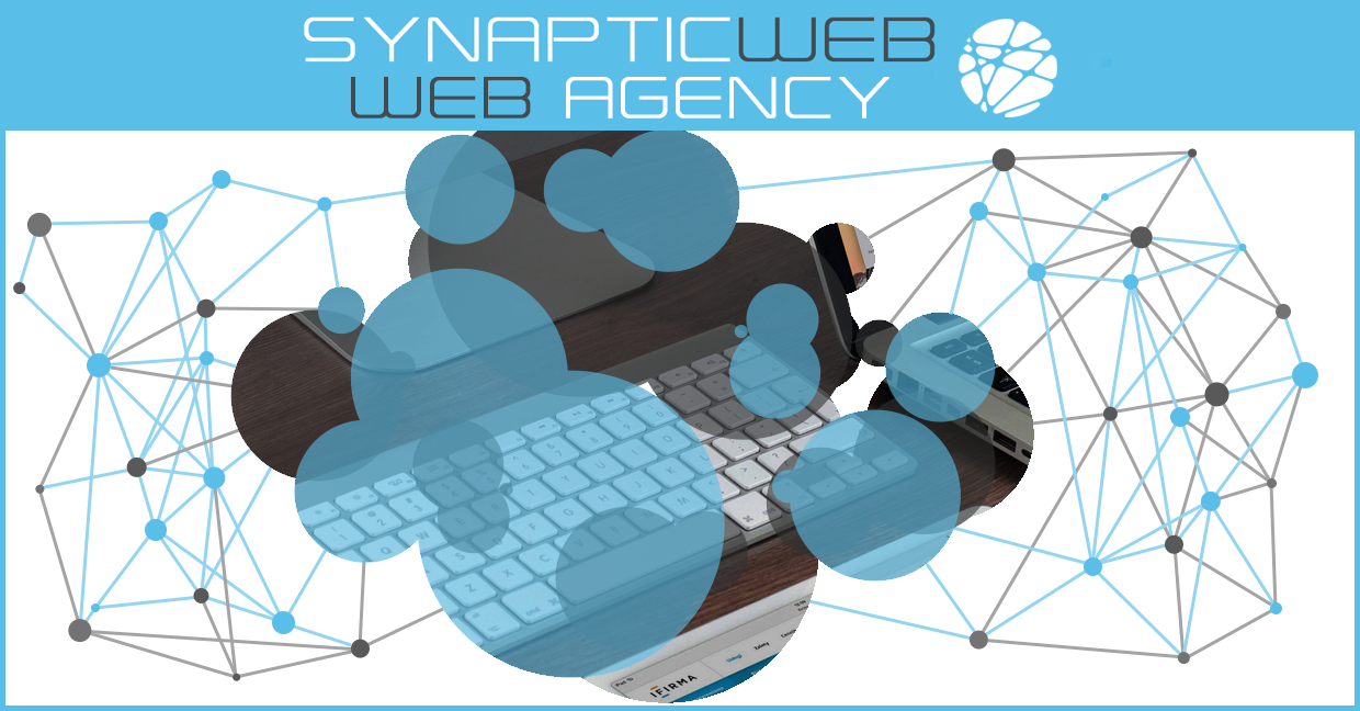 (c) Synapticweb.it